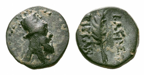 Tigranes VI - First reign - AE chalkous - Palm