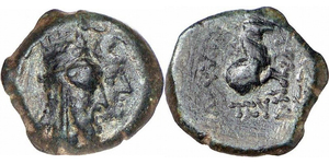 Tigranes VI - Second reign - AE 2 chalkoi - Forepart of horse