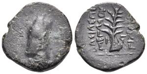 Tigranes II - Period I, Nisibis - AE 2 chalkoi - Tree