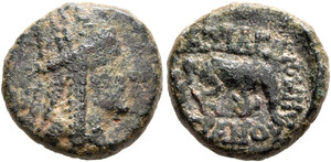 Tigranes the Younger - Series 5, Tigranocerta (70/69-69/8 BC) - AE 1/2 chalkous - Horse