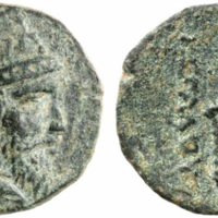 913 Gorny 200 Lot 2024.jpg