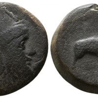 914 Savoca 17 Lot 339.jpg