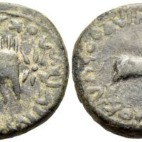 891 Obolos Web 17 Lot 369.jpg
