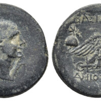 877 Bucephalus 1 Lot 59.jpg