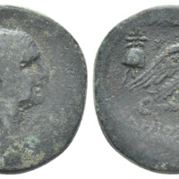 877 Bucephalus 4 Lot 325.jpg