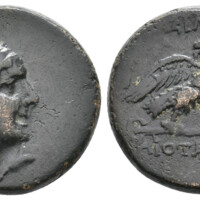 877  Bucephalus 7 Lot 501.jpg