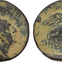 877 Papillon 1 Lot 312.jpg