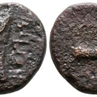 ANRO-879-008 Savoca Coins Auction 168 Lot 917.jpg