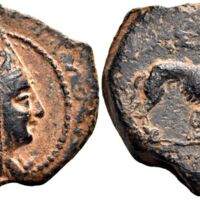 134 Nomos 17 Lot 210.jpg