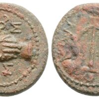 543 Aquila 7 Lot 499.jpg