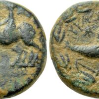 551 Naumann 71 Lot 276.jpg