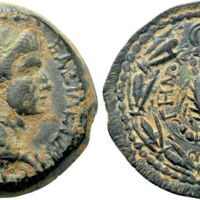 553 Naumann 77 Lot 332.jpg