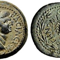 556 Bertolami 4 Lot 447.jpg