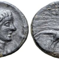 503 Roma e99 Lot 302.jpg