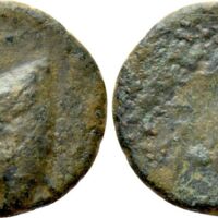 521 Naumann 97 Lot 253.jpg