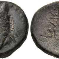 521 Pecunem 5 Lot 157.jpg