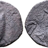 521 Roma e99 Lot 306.jpg