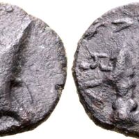 534 Roma e80 Lot 334.jpg