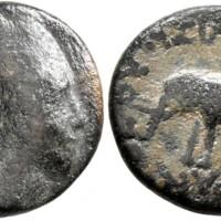 847 Leu Web 8 Lot 494.jpg