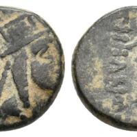 844 Bucephalus 4 Lot 166.jpg